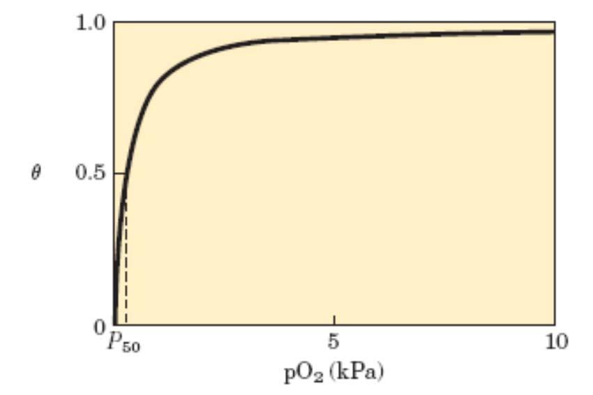Vezava liganda (L) na protein: enačba in grafična predstavitev θ L L K d θ θ O 2 O 2 Kd O 2 O 2 O