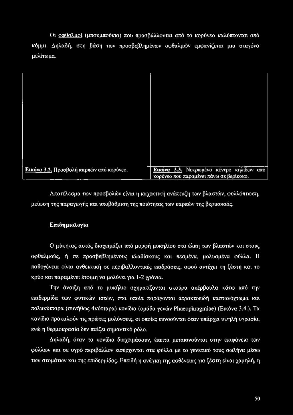 Οι οφθαλμοί (μπουμπούκια) που προσβάλλονται από το κορύνεο καλύπτονται από κόμμι. Δηλαδή, στη βάση των προσβεβλημένων οφθαλμών εμφανίζεται μια σταγόνα μελίτωμα. Εικόνα 3.2.