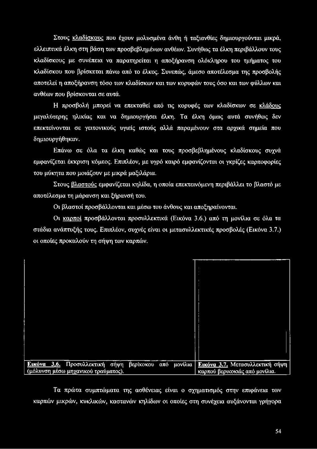 Τα έλκη όμως αυτά συνήθως δεν επεκτείνονται σε γειτονικούς υγιείς ιστούς αλλά παραμένουν στα αρχικά σημεία που δημιουργήθηκαν.