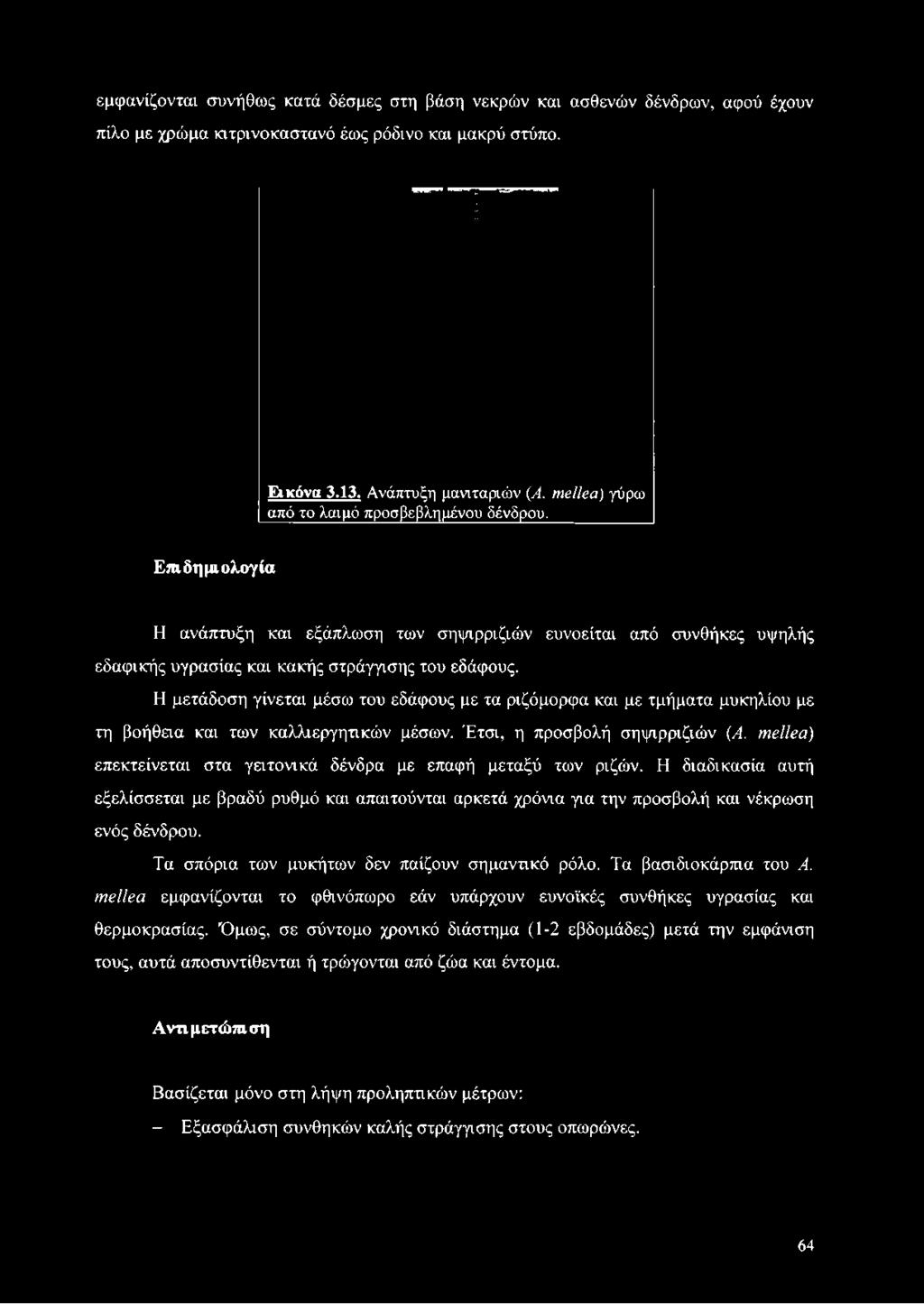 Η μετάδοση γίνεται μέσω του εδάφους με τα ριζόμορφα και με τμήματα μυκηλίου με τη βοήθεια και των καλλιεργητικών μέσων. Έτσι, η προσβολή σηψιρριζιών (Α.