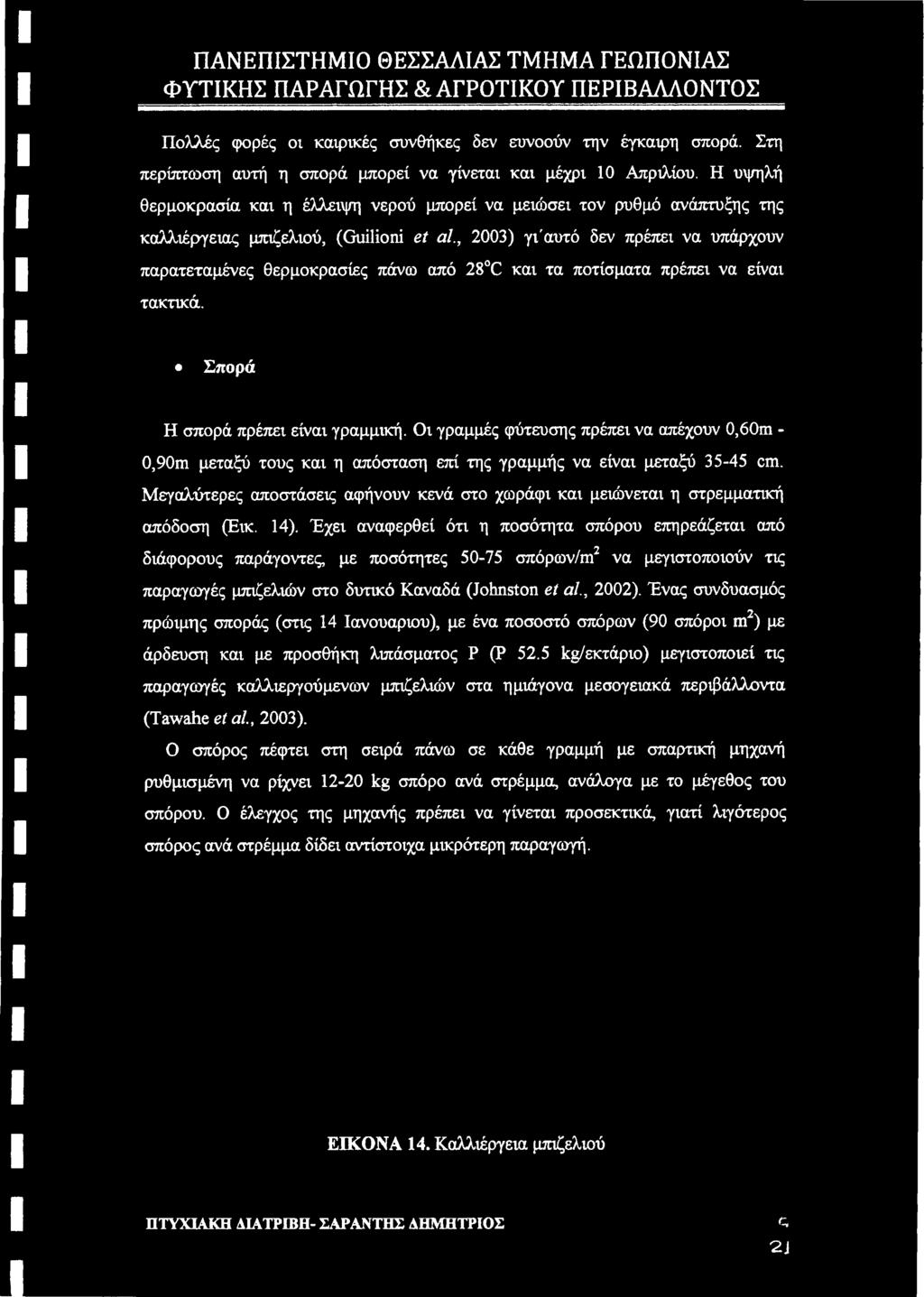 , 2003) γι'αυτό δεν πρέπει να υπάρχουν παρατεταμένες θερμοκρασίες πάνω από 28 C και τα ποτίσματα πρέπει να είναι τακτικά. Σπορά Η σπορά πρέπει είναι γραμμική.