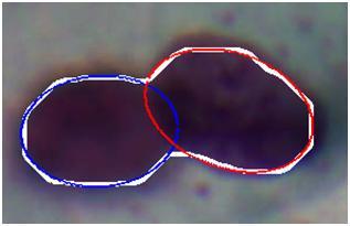 14 Υδροκριτών 9.16 ± 8.09 20.05 ± 10.84 11.44 ± 6.24 Μικτών Gaussian 6.42 ± 3.00 16.25 ± 5.06 827.