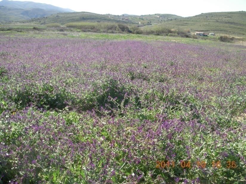 χρηματοδοτούμενο από το ΥΠΑΑΤ.