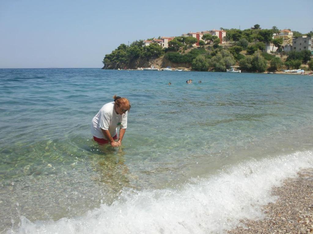 ΠΝΕΛΛΗΝΙΟΚΕΝΤΡΟΟΙΚΟΛΟΓΙΚΩΝΕΡΕΥΝΩΝ ΚΕΚ ΠΚΟΕ