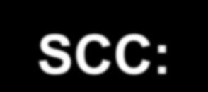 Καρκίνος Πνεύμονος- Οδηγίες EGTM SCC: Επίπεδα > 2ng/ml μπορεί να υποδηλώνουν