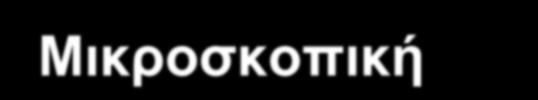 Καρκίνος Ωοθηκών-Επίπεδα CA-125 Aνάλογα με το Μέγεθος