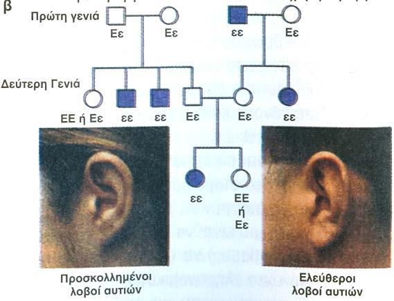 Αυτοσωμικό υπολειπόμενο