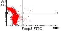 * контрола HCV 2,0 ** Treg/CD4+ 1,5 1,0 0,5 0,0 P<0,001 контрола HCV Слика 4.23.
