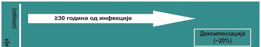 1.6.). Хронични хепатитис Ц карактерише перзистенција HCV-RNK у крви дуже од шест месеци (78). Већина болесника са хроничном HCV је асимптоматска.