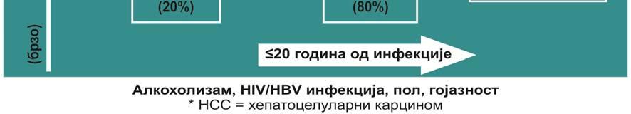 Снажан HCV специфични CD4+ CD8+ Т ћелијски одговор усмерен на мултипле HCV епитопе потребан је за спонтану елиминацију вируса у акутној фази, али вирус поседује различите могућности да избегне