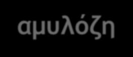 Αμυλόζη Η αμυλόζη αποτελεί περίπου το 25% του αμύλου. Είναι αλυσίδα 350-1000 μορίων γλυκόζης (MW=50,000-200,000), διαλυτή στο νερό χωρίς διόγκωση.