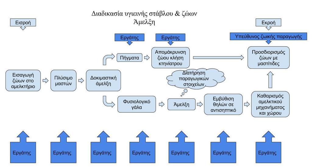 Ακολουθεί το διάγραμα δραστηριοτήτων της διαδικασίας υγιεινής σταύλου και ζώων που αφορά κυρίως την διαδικασία της άμελξης αλλά και τον έλεγχο της υγιεινής του μαστού για υποκλινικές μαστίτιδες αλλά