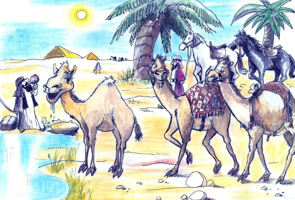 P a g e 12 Mία φορά κι έναν καιρό, κάπου στη μακρινή Αραβία, σε ένα καραβάνι, ζούσε η Μύλα, μία μικρή καμήλα.