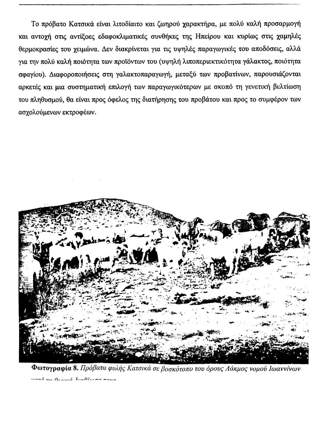 Το πρόβατο Κατσικά είναι λιτοδίαιτο και ζωηρού χαρακτήρα, με πολύ καλή προσαρμογή και αντοχή στις αντίξοες εδαφοκλιματικές συνθήκες της Ηπείρου και κυρίως στις χαμηλές θερμοκρασίες του