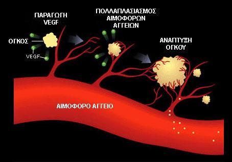 21 Πολλαπλασιασμός Ανάπτυξη Αγγειογενετικοί παράγοντες Πρωτεΐνες του στρώματος Διέγερση των ενδογενών αναστολέων Εικόνα 8.