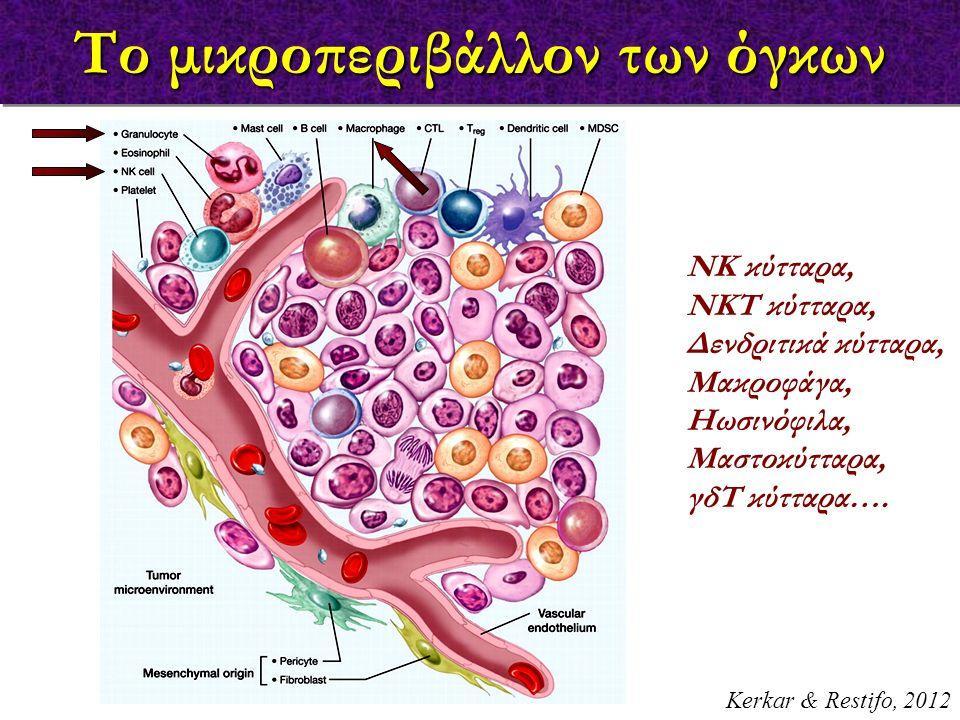 25 ενδοθηλιακά κύτταρα αγγείων και νευρικά κύτταρα.