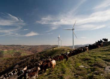 έκανε για πρώτη φορά σύγκριση της θνησιμότητας πτηνών από αιολικά πάρκα, ορυκτά καύσιμα και πυρηνική ενέργεια στις ΗΠΑ.