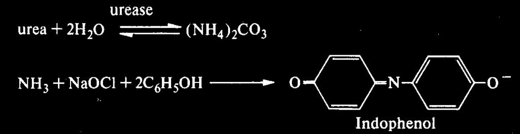 Urea (karbamid) Urea ima esencijanu ulogu u metabolizmu jedinjenja koja sadrže azot u kod životinja... krajnji proizvod metabolizma proteina. BUN blood urea nitrogen!