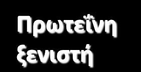 movement protein/ ΠΔΜ+ιικό RNA