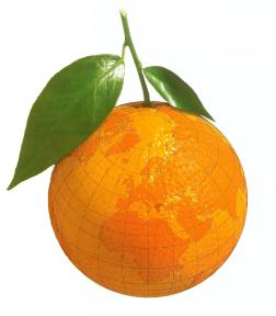 ΜΠ: Μακροσκελής Αλυσίδα Παραγωγής Χυμού Πορτοκαλιών: Διεθνές εµπόριο πορτοκαλιών Κύριες χώρες παραγωγής πορτοκαλιών: Βραζιλία, Κίνα, ΗΠΑ, Μεσογειακές χώρες Βασικές εξαγωγικές χώρες πορτοκαλιών: