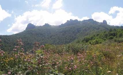 View of the top Babin zub Анализа климе подручја Локалитет Јабучко равниште на Старој планини третира се као јединствена туристичка регија (I степена) која је класификована као изузетно вредно