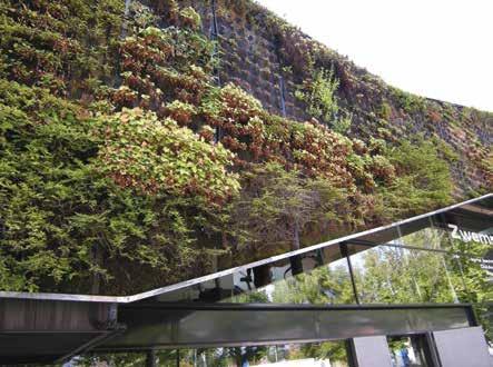 Зелени зидови подразумевају коришћење биљака на веома малом простору, не само у циљу визуелног и естетског ефекта, већ и у циљу унапређења биодиврезитета, ублажавања аерозагађења као и у циљу