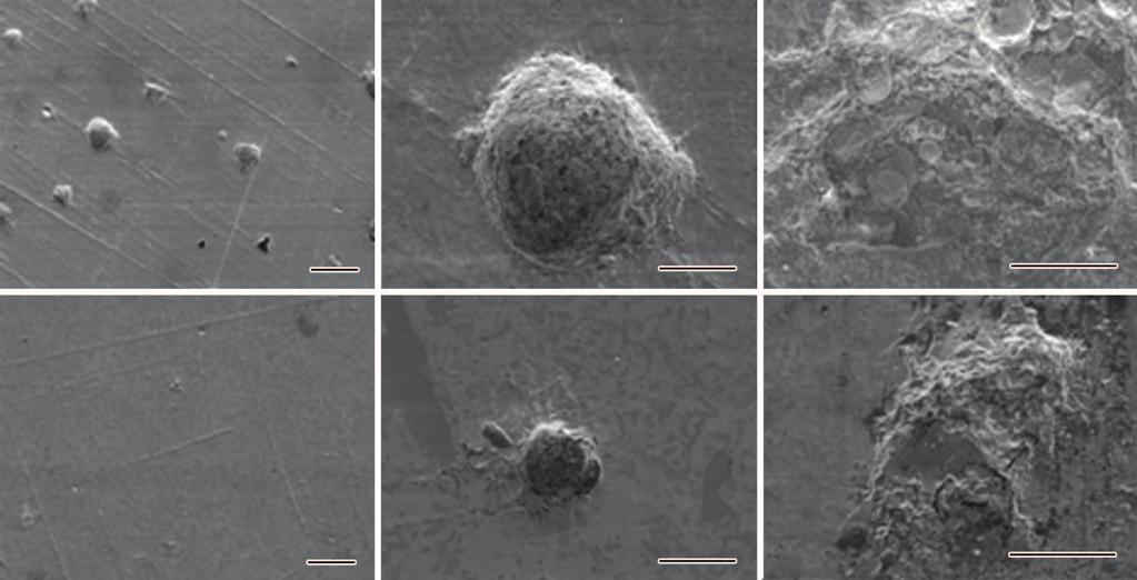 6 ß ÄÛ : Te-Ni-Cr 3.5%NaCl Ø± Ó» 465 Fig.5 SEM morphologies after wiping off corrosion products of samples 1 and 3 Fig.