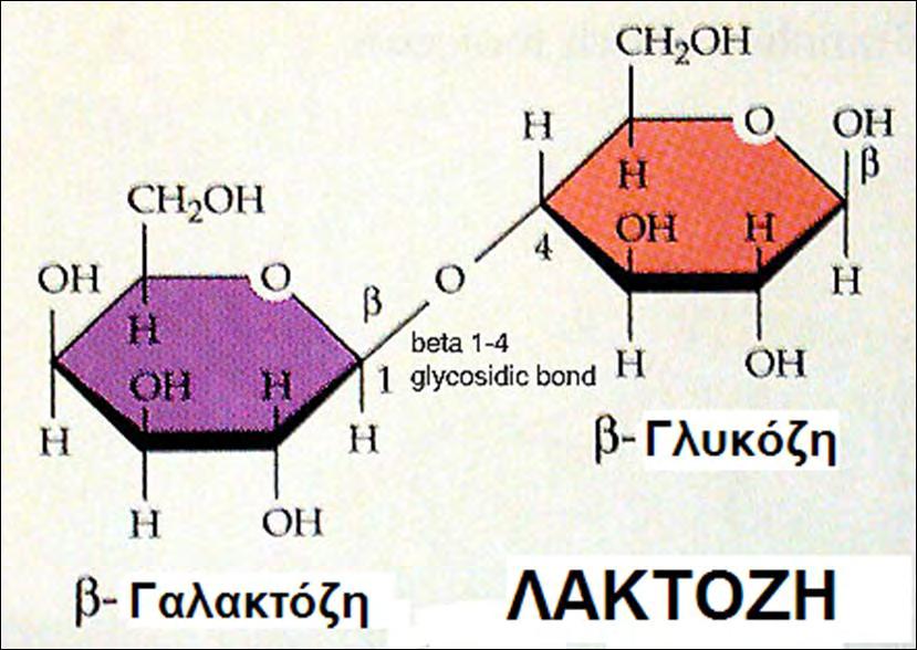 αυξάνεται με την αύξηση της θερμοκρασίας. Οι ομοζυμωτικοί μεσόφιλοι λακτόκοκκοι που υπάρχουν στο κεφίρ, παράγουν γαλακτικό οξύ με γρήγορο ρυθμό στα αρχικά στάδια.