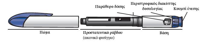 Γνωρίστε τα μέρη της πένας Natpar και του φαρμάκου Natpar Γνωρίστε τα εξαρτήματα της πένας Natpar Τμήματα της πένας Natpar Σημείωση: Το προστατευτικό ράβδου (εικονικό