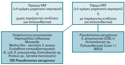 Ο χρόνος εμφάνισης της VAP φαίνεται να συσχετίζεται με την απομόνωση συγκεκριμένων παθογόνων (Rello 2005).