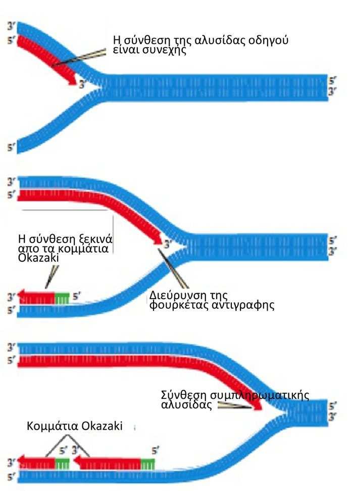 Συνεχείς και ασυνεχείς