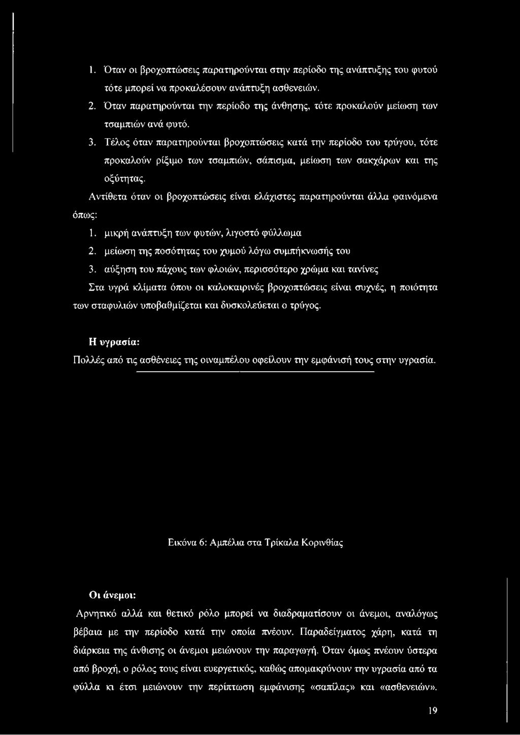 Τέλος όταν παρατηρούνται βροχοπτώσεις κατά την περίοδο του τρύγου, τότε προκαλούν ρίξιμο των τσαμπιών, σάπισμα, μείωση των σακχάρων και της οξύτητας.