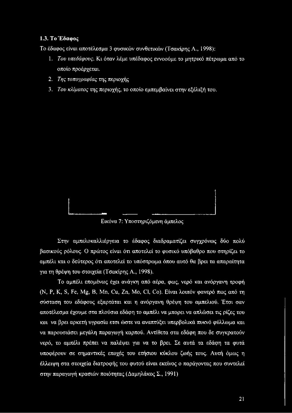 Εικόνα 7: Υποστηριζόμενη άμπελος Στην αμπελοκαλλιέργεια το έδαφος διαδραματίζει συγχρόνως δύο πολύ βασικούς ρόλους.