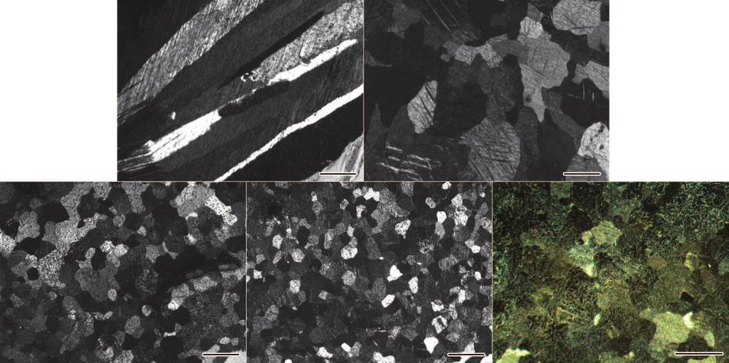 12 + 5\} : Al Al C Hn _A\; Mg Vz T 4 1497 (% Al Al C l{^ Mg u W <2 4 Fig.2 As cast microstructures of pure Mg (a), and to which 0.%Al Al4 C (b), 0.