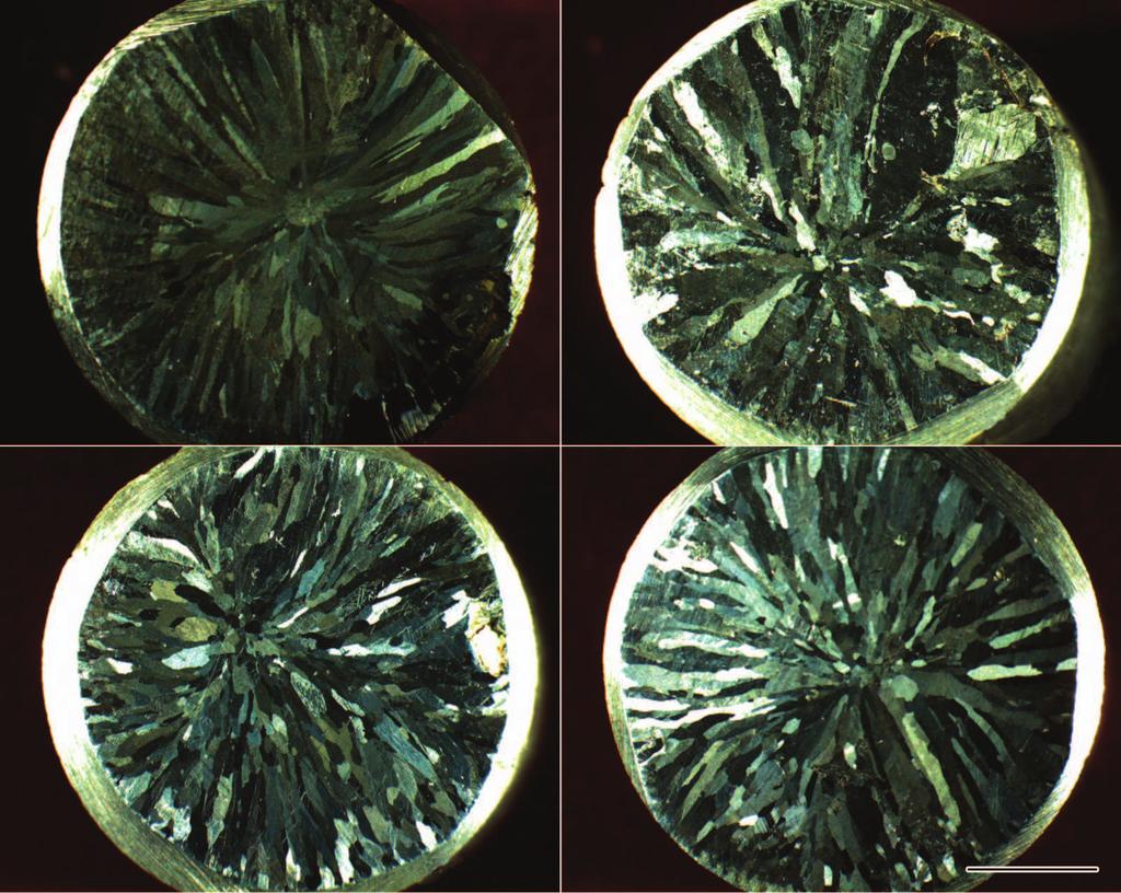 Microstructures of pure Mg after being processed by ultrasound of 0 W (a), 450 W (b), 600 W (c) and 1000 W (d).8hj, M7m&8 () 4c).