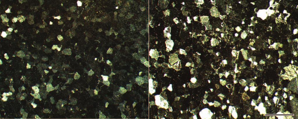 mechanical rabbling for 1 min (d) <5 B )Io % K^ Mg G WfJE$ Fig.5 Microstructures of pure Mg to which 1.