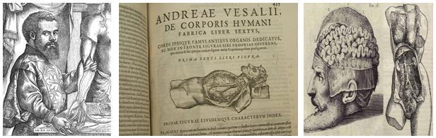 Δύο ακόμη σημαίνοντες πειραματιστές στην κατεύθυνση του Βεσάλιου που αξίζει να αναφερθούν είναι ο Realdus Columbus (1510-1559) που πρότεινε την θεωρία της πνευμονικής κυκλοφορίας ( ότι το αίμα