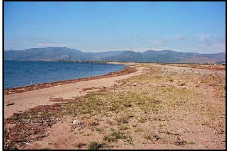 Εικ. 6 : Ο πρώτος σταθμός δειγματοληψίας (ST1) στην παρακείμενη στις αλυκές θαλάσσια περιοχή της παράκτιας ζώνης του Κόλπου Καλλονής.