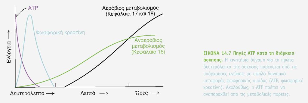 1. Το ATP επαρκεί στους μύες για λιγότερο από ένα δευτερόλεπτο 2. Η κρεατινίνη είναι η κύρια πηγή ενέργειας για αγώνα 100 μέτρων 3.