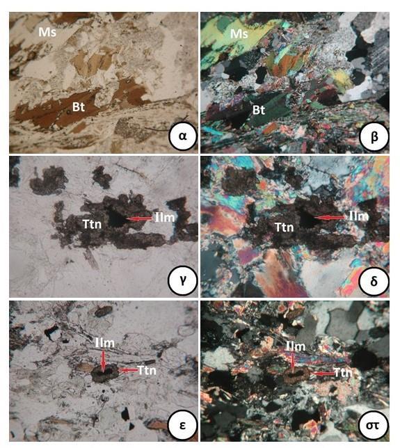 Εικόνα 2.3. Μικροφωτογραφίες από πολωτικό μικροσκόπιο διερχομένου φωτός πετρωμάτων της περιοχής Κολχικού: α) Διμαρμαρυγιακός γνεύσιος με βιοτίτη (Bt) και μοσχοβίτη (Ms), (Nicols //).