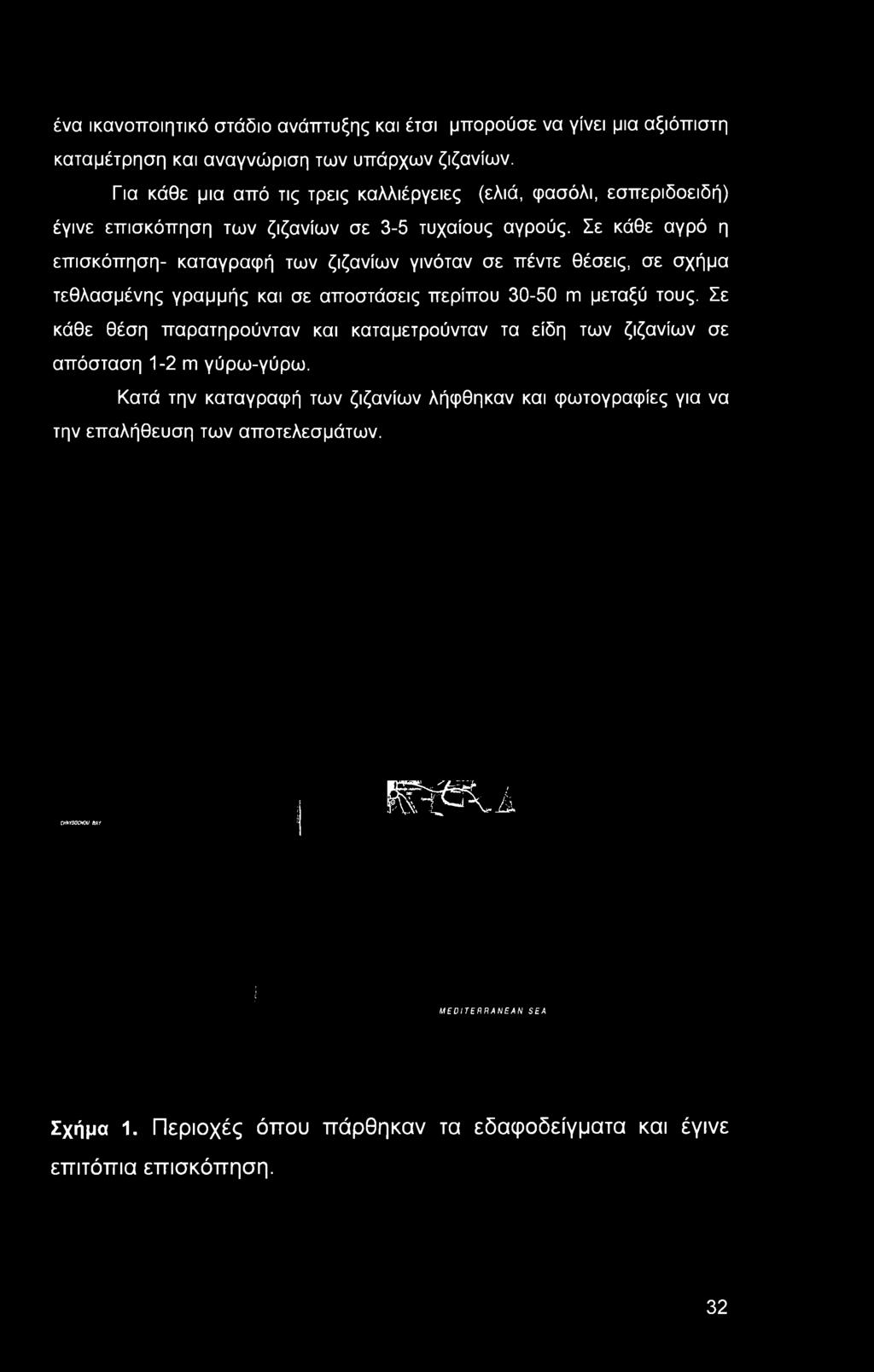 Σε κάθε αγρό η επισκόπηση- καταγραφή των ζιζανίων γινόταν σε πέντε θέσεις, σε σχήμα τεθλασμένης γραμμής και σε