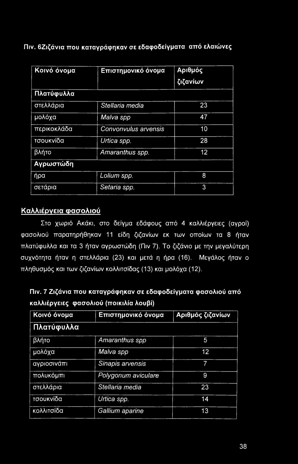 3 Καλλιέργεια Φασολιού Στο χωριό Ακάκι, στο δείγμα εδάφους από 4 καλλιέργειες (αγροί) φασολιού παρατηρήθηκαν 11 είδη ζιζανίων εκ των οποίων τα 8 ήταν πλατύφυλλα και τα 3 ήταν αγρωστώδη (Πιν 7).