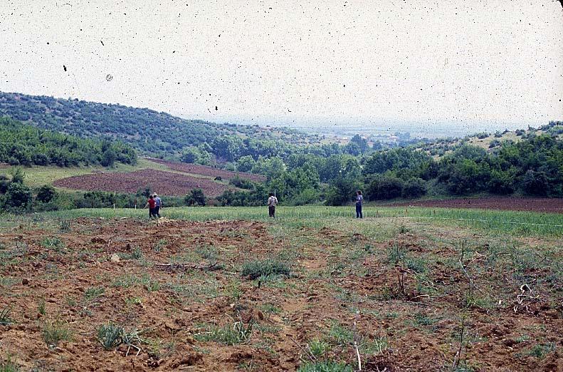 Επιφανειακή έρευνα