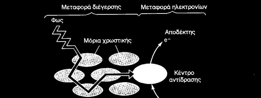 στη Chla - προστατεύουν