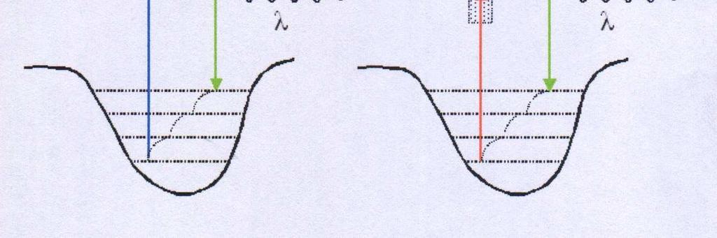 Αντίθετα όπως αναφέραµε παραπάνω τα φάσµατα εκποµπής είναι ίδια ανεξάρτητα από τον τρόπο διέγερσης. Σχήµα 2-2 Μονοφωτονική και διφωτονική απορρόφηση.