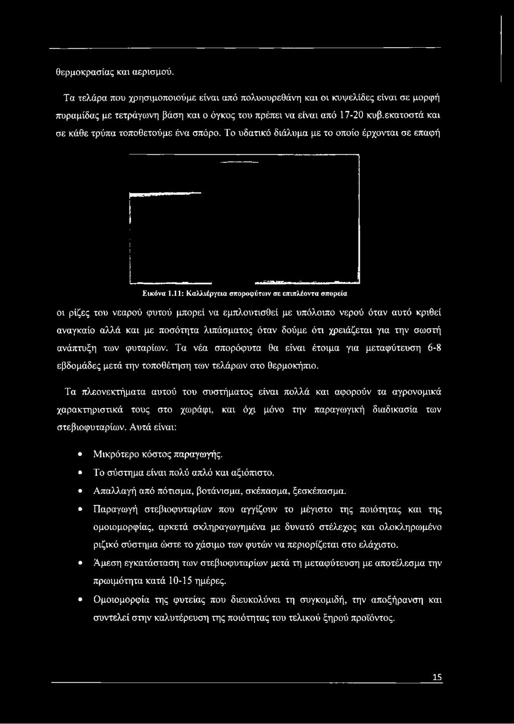 11: Καλλιέργεια σποροφύτων σε επιπλέοντα σπορεία οι ρίζες του νεαρού φυτού μπορεί να εμπλουτισθεί με υπόλοιπο νερού όταν αυτό κριθεί αναγκαίο αλλά και με ποσότητα λιπάσματος όταν δούμε ότι χρειάζεται