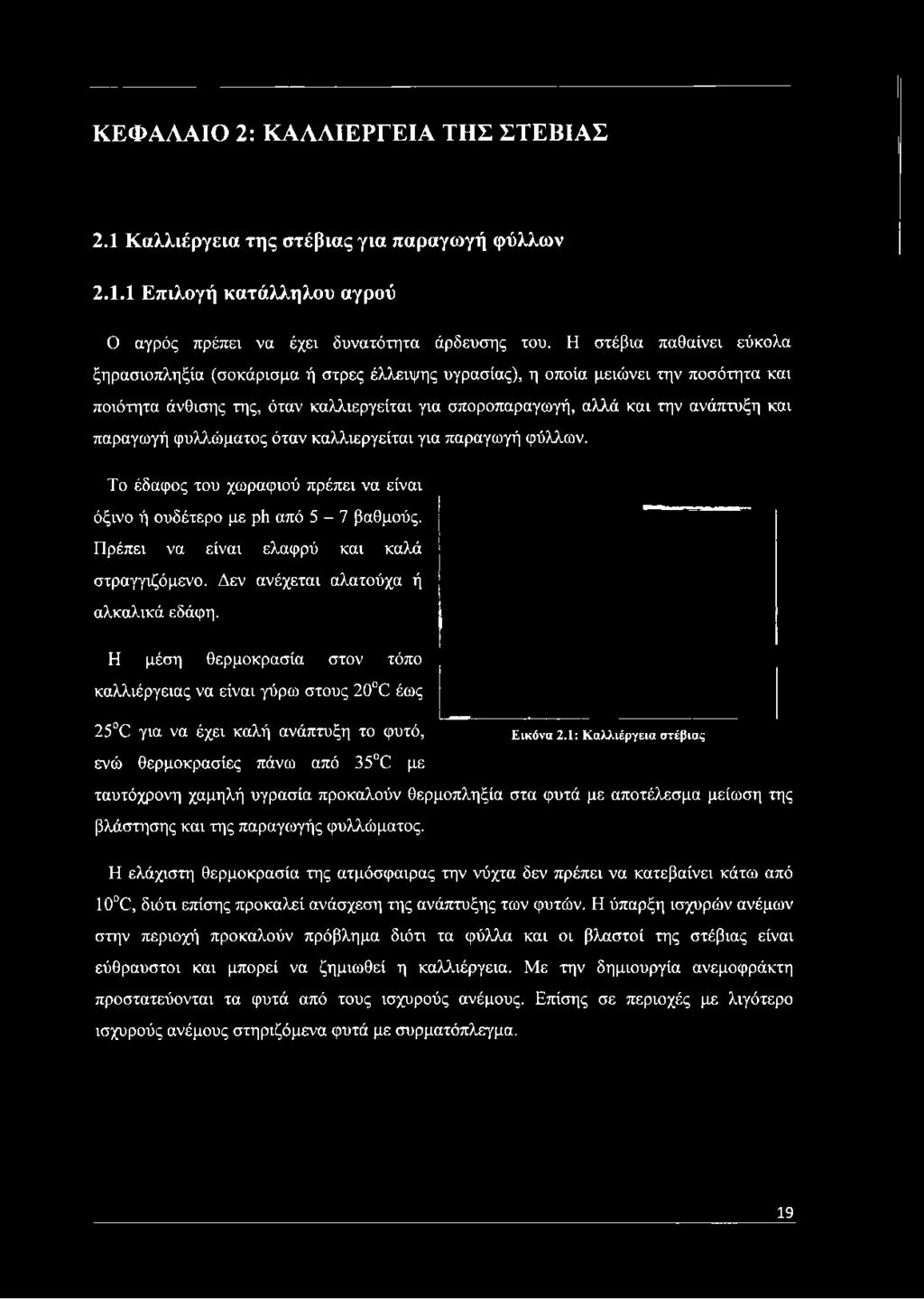 παραγωγή φυλλώματος όταν καλλιεργείται για παραγωγή φύλλων. Το έδαφος του χωραφιού πρέπει να είναι όξινο ή ουδέτερο με ρύ από 5-7 βαθμούς. Πρέπει να είναι ελαφρύ και καλά στραγγιζόμενο.