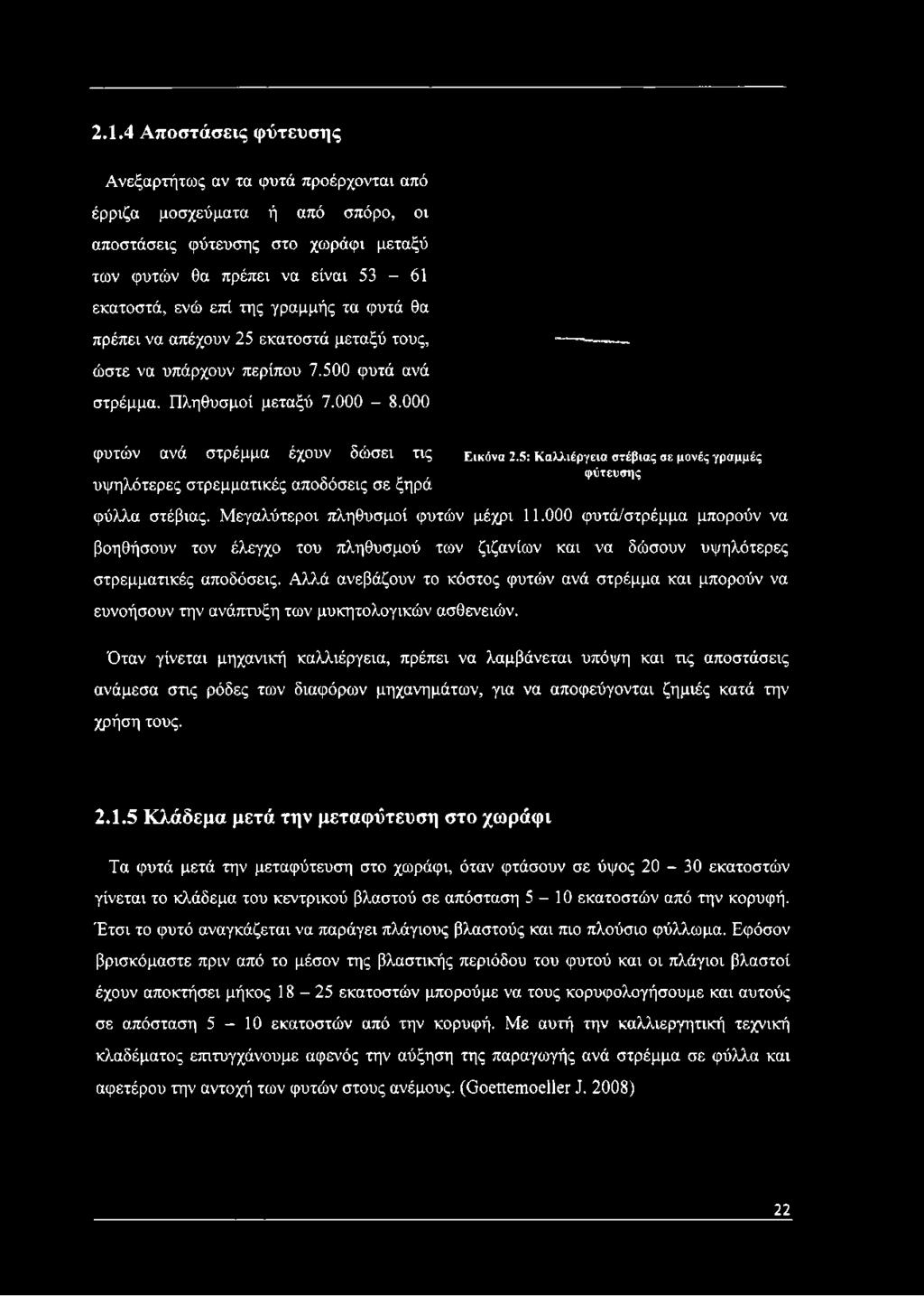 000 φυτών ανά στρέμμα έχουν δώσει τις υψηλότερες στρεμματικές αποδόσεις σε ξηρά φύλλα στέβιας. Μεγαλύτεροι πληθυσμοί φυτών μέχρι 11.