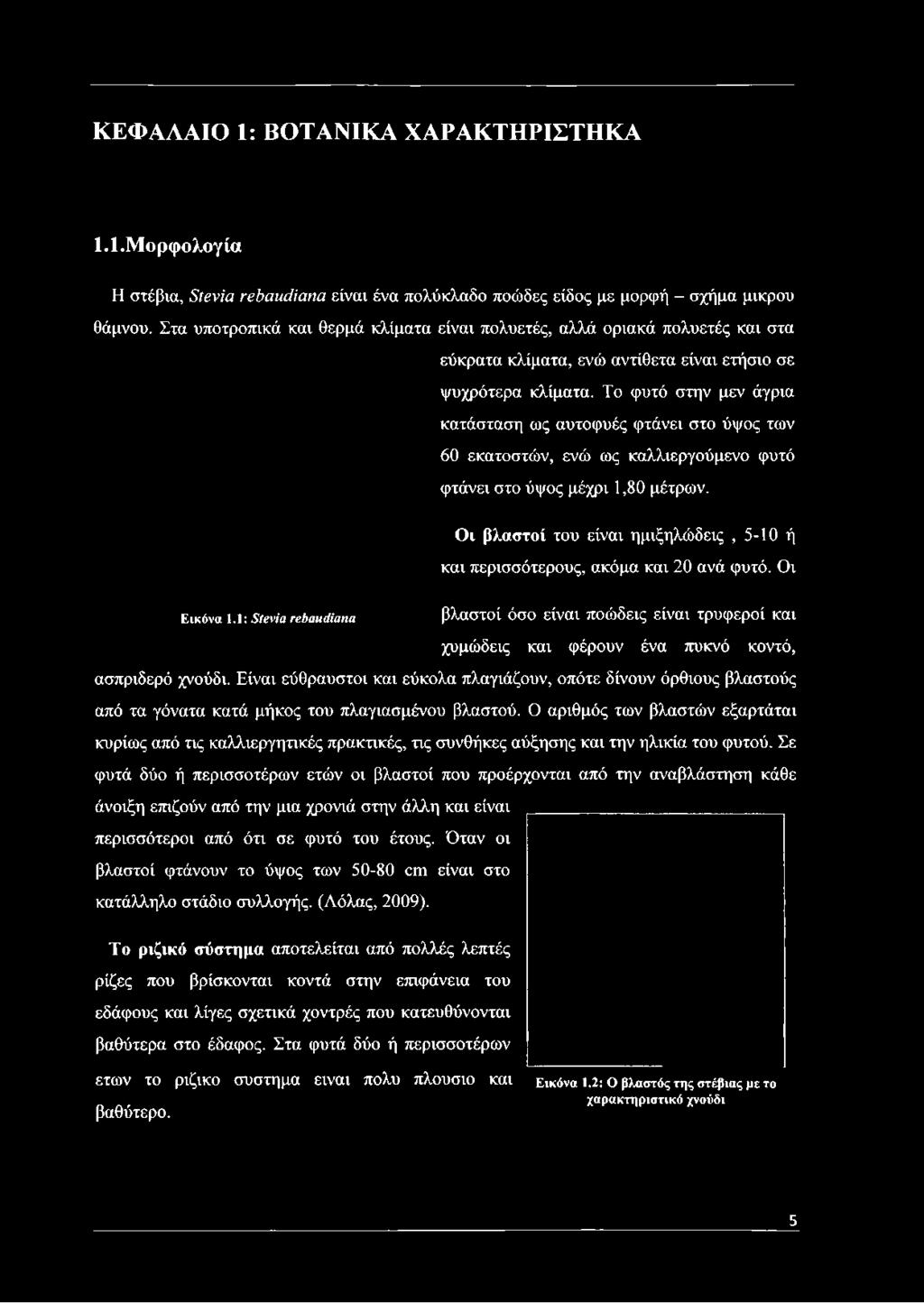 Το φυτό στην μεν άγρια κατάσταση ως αυτοφυές φτάνει στο ύψος των 60 εκατοστών, ενώ ως καλλιεργούμενο φυτό φτάνει στο ύψος μέχρι 1,80 μέτρων.