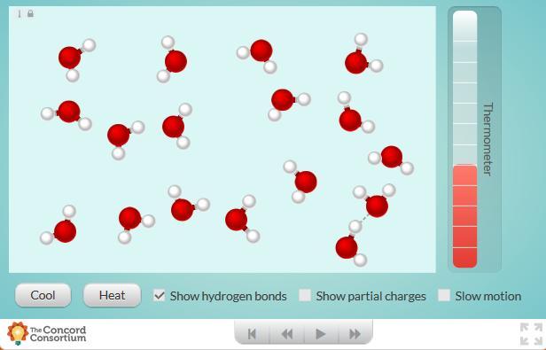 html#interactives/sam/intermolecularattractions/6-hydrogen-bonds-a-special-type-of-attraction.json) διερευνά το σχηματισμό δεσμών υδρογόνου μεταξύ πολικών μορίων, όπως το νερό (Εικόνα 4).